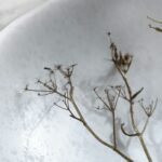 White Spotted Dinner 27cm - Image 5