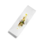 Gastro Tray Mat 38x12cm