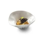Fungi Bowl Gloss/Mat