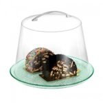 Acrylic Bell Cover D 22/24 Cm